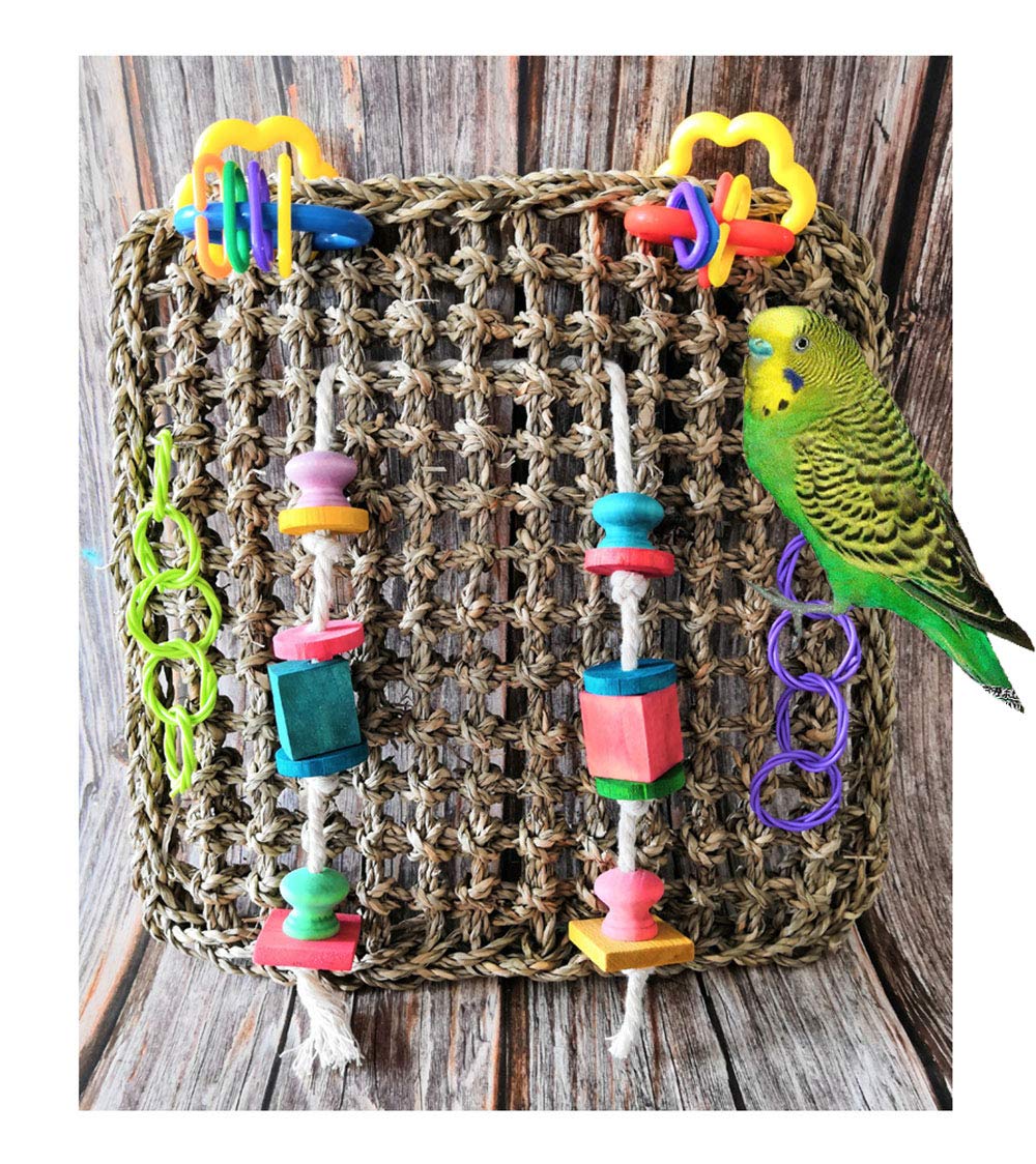 [Australia] - GoodsBeauty 12x12inch Hanging Foraging Wall Bird Toys - Handmade Sea Grass Climbing Net Ladder for Bird Exercise IQ Simulation Cage Decor for Parrots 