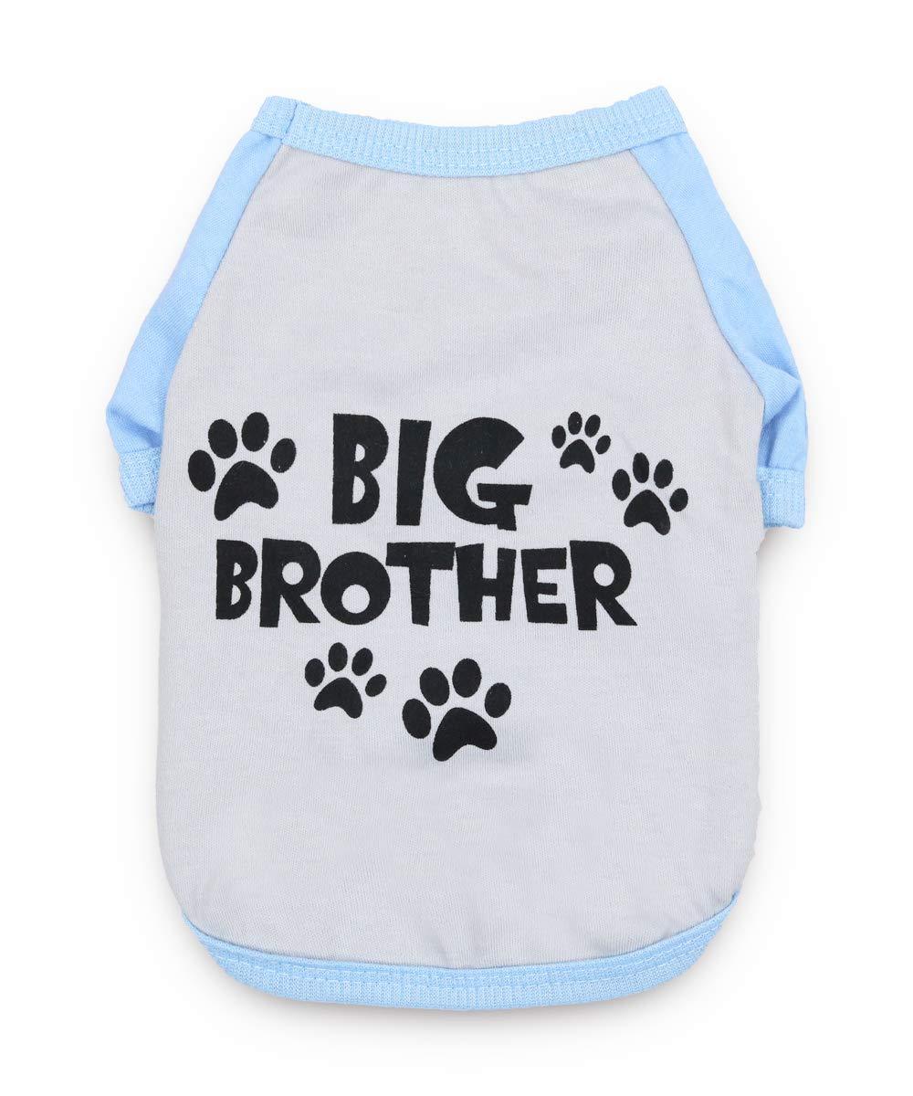 [Australia] - DroolingDog Dog Big Brother T-Shirts for Small Dogs Large (Neck: 13'' Chest: 19.6'') Grey 
