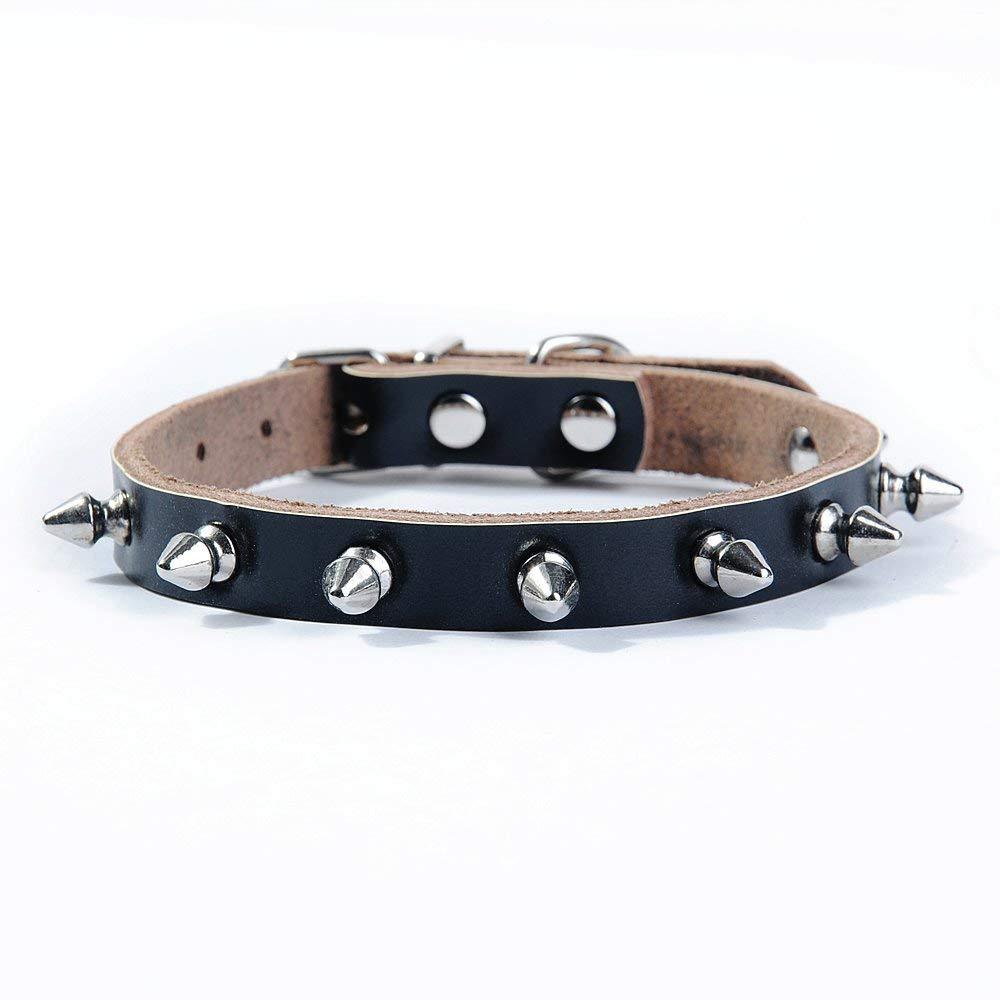 [Australia] - GJDLLC Black Leather Studded Dog Collar with Spikes in Sizes XS - Small - Medium - Large Medium (12" to 16") 