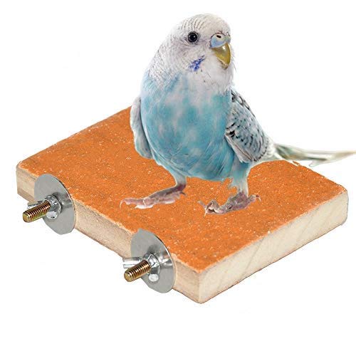 Colorful Bird Perch Stand Platform Natural Wood Playground Paw Grinding Clean for Pet Parrot Budgies Parakeet Cockatiels Conure Lovebirds Rat Mouse Cage Accessories Exercise Toys Orange - PawsPlanet Australia