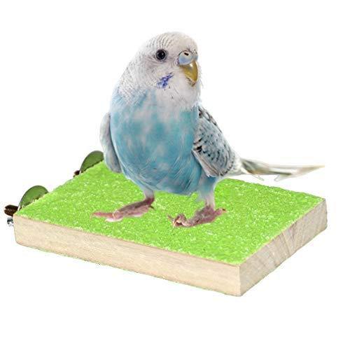 Colorful Bird Perch Stand Platform Natural Wood Playground Paw Grinding Clean for Pet Parrot Budgies Parakeet Cockatiels Conure Lovebirds Green - PawsPlanet Australia