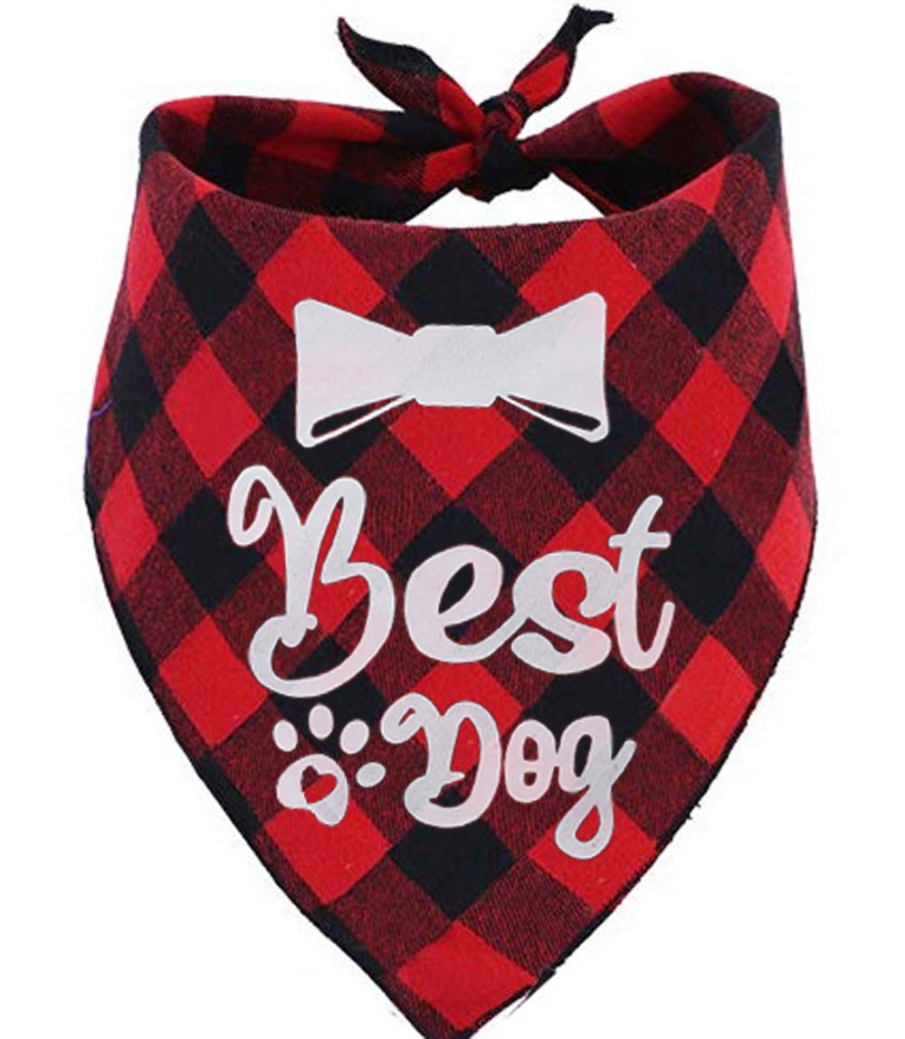 JPB Best Dog Wedding Bandana,Engagement Party Gift - PawsPlanet Australia