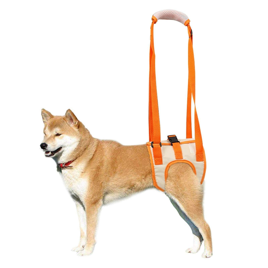 ROZKITCH Dog Lift Harness, Pet Rear Support Aid Veterinarian Approved Sling for Old K9 Help with Poor Stability, Back Leg Hip Disabled Joint Injury Elderly and Arthritis ACL Rehabilitation Rehab Small - PawsPlanet Australia