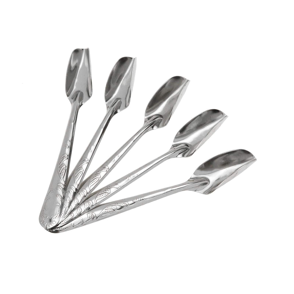 Quluxe 5 Pcs Bird Parrot Stainless Steel Metal Feeding Spoon, Special Feeding Scoop Medicine Spoons Hand Feeding Spoons for Peony Cockatiel Parrot - PawsPlanet Australia