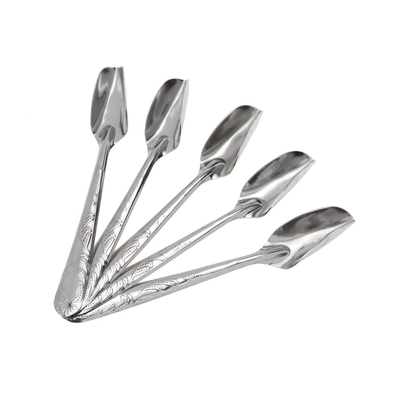 Quluxe 5 Pcs Bird Parrot Stainless Steel Metal Feeding Spoon, Special Feeding Scoop Medicine Spoons Hand Feeding Spoons for Peony Cockatiel Parrot - PawsPlanet Australia