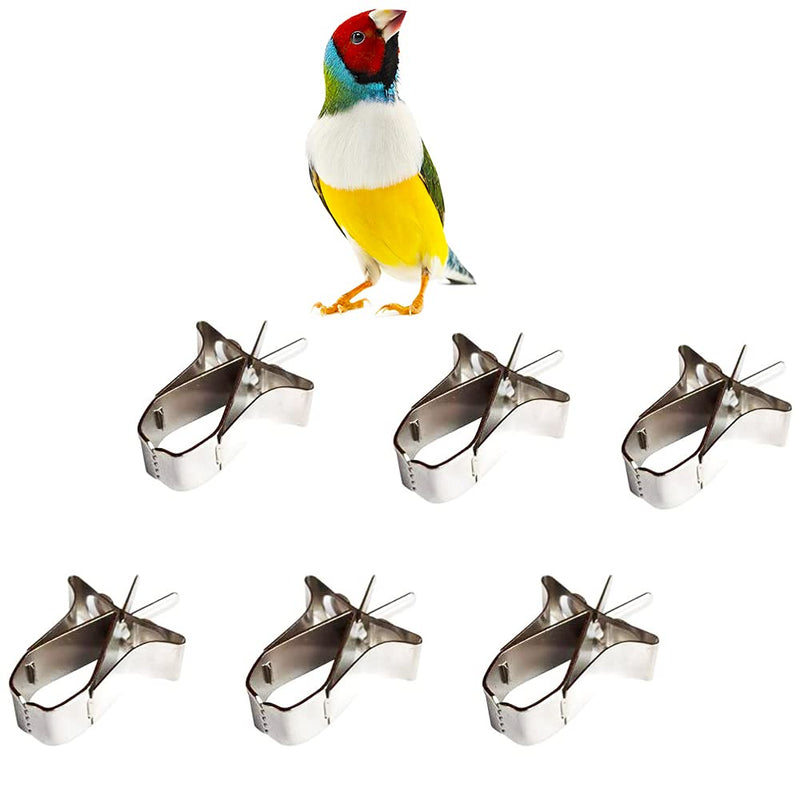 6 Pcs Bird Food Holder Parrot Cage Seed Feeder Stainless Steel Vegetable Fruit Clip for Bird Cockatiel Parrot Hamster - PawsPlanet Australia