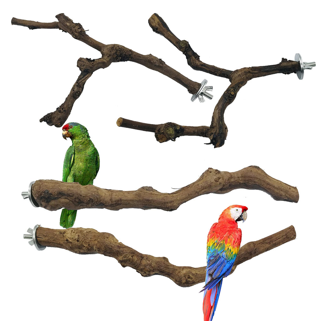 NA Seasonsky 4 PCS Natural Grape Stick Fork Bird Perch Bird Standing Stick Chewing Bird Toys Natural Grapevine Bird Cage Perch for Parrot Cages Toy for Cockatiels, Parakeets, Finches - PawsPlanet Australia