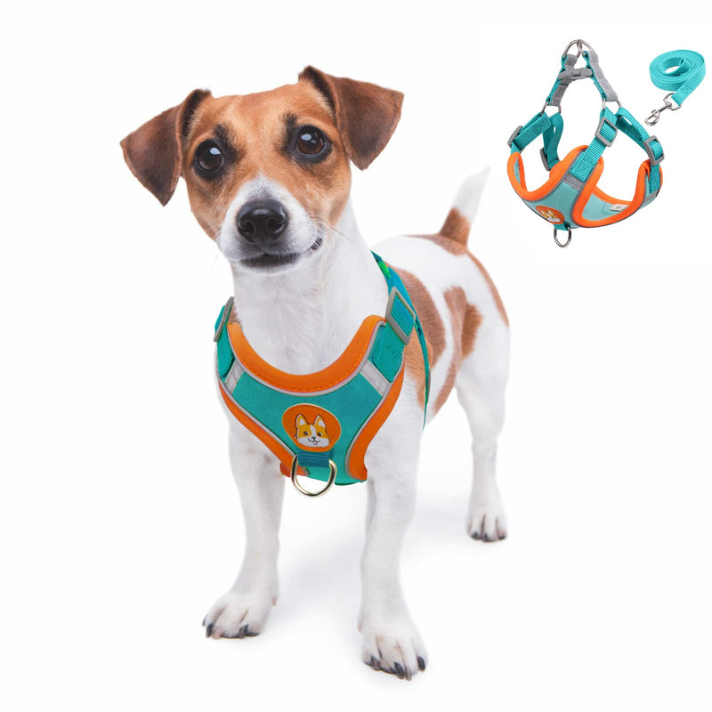 Small Dog Harness, Adjustable No Pull Puppy Harness with Comfort Suede Vest, Reflective Pet Harness and Leash Set for Small Medium Breeds S Blue - PawsPlanet Australia