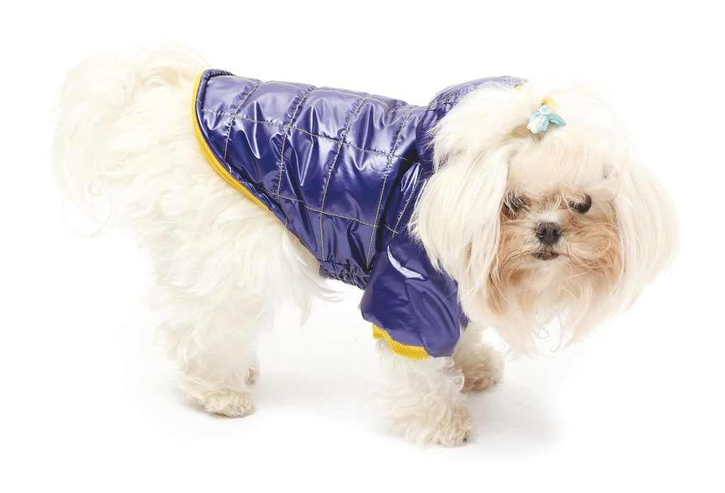 Croci Jester Padded Jacket, 20 cm - PawsPlanet Australia