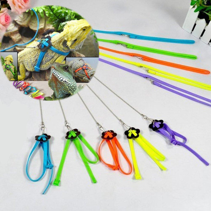 Parrot Bird Adjustable Harness Leash Anti-bite Multicolor Light Soft Fashion Color Random - PawsPlanet Australia