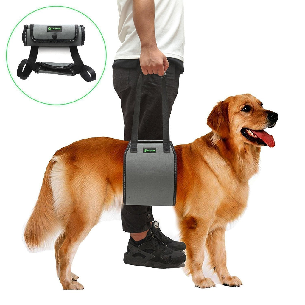 RockPet Dog Support Sling with Handle for Canine Aid, Veterinarian Approved Dog Lift Harness for Rehabilitation (M,Grey) - PawsPlanet Australia