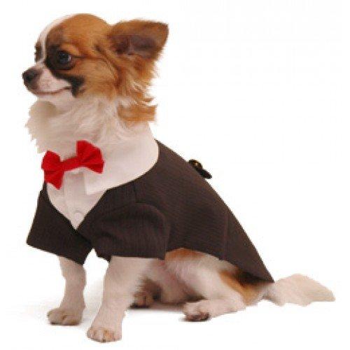 Pooch Outfitters Prrt Ruff Tux Tuxedo Dog – S - PawsPlanet Australia
