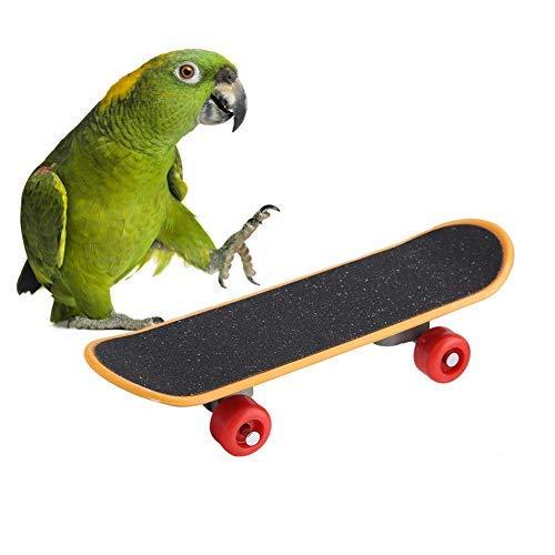 Parrot Skateboard Toys, Pet Bird Funny Training Playing Interactive Toy Birds Standing Perch Cockatiels Educational Stand Toys for Birds Parrots Small Conures - PawsPlanet Australia