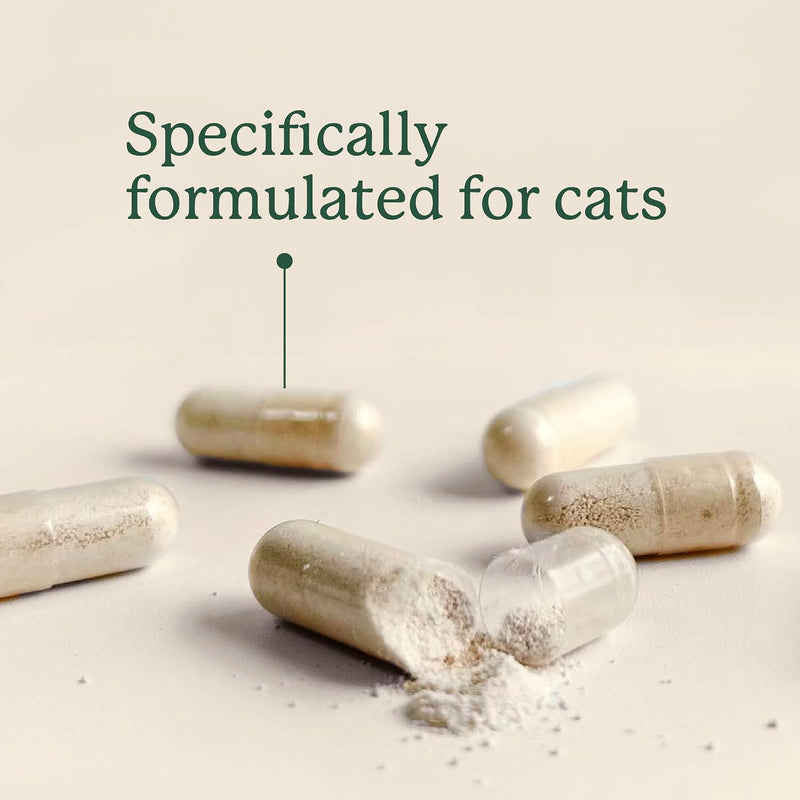 KittyBiome GMP Gut Maintenance Plus Diarrhea Relief for Cats - Triple Action Formula Designed to Reduce Diarrhea Caused by Antibiotics, C. Difficile, or E. Coli