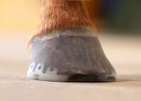 MPMH Eclipse Series I Heart Bar Professional Horseshoe, White Polyurethane, Thermoplastic Construction, Superior Grip, Shock Absorbing Design for Equestrian Use (1) 1