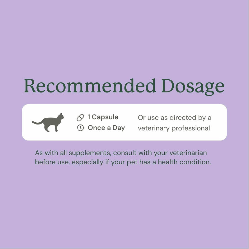 KittyBiome GMP Gut Maintenance Plus Diarrhea Relief for Cats - Triple Action Formula Designed to Reduce Diarrhea Caused by Antibiotics, C. Difficile, or E. Coli