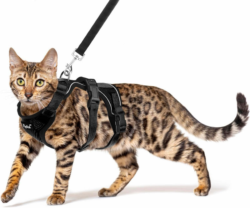 Fully Escape Proof Cat Harness and Leash Set for Walking, Adjustable Soft Kitten Vest with Reflective Strip for Small Medium Large Adult Cats, Breathable Kitty Harness,Black S S(Neck Girth 11in-13.25in) Black