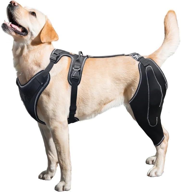 REBORN Dog Double Knee Brace for Torn ACL, CCL & Luxating Patella, Adjustable Back Leg Support & Recovery, Hind Leg Brace for Stability, Arthritis, Injury & Joint Pain Relief, Medium