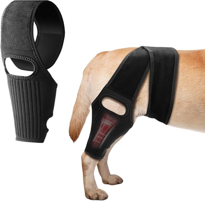 Dog Knee Brace, Dog Leg Brace for ACL Support with Cruciate Ligament Injury, Knee Cap Dislocation, Joint Pain and Muscle Sore, Adjustable Dog ACL Brace with 10 Side Stabilizers, Pet Brace (L) L