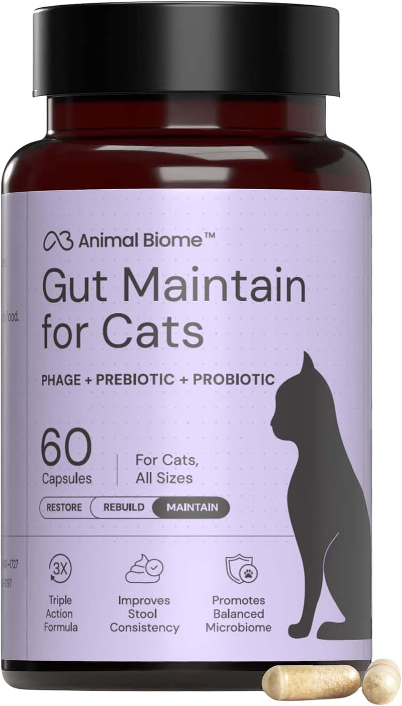KittyBiome GMP Gut Maintenance Plus Diarrhea Relief for Cats - Triple Action Formula Designed to Reduce Diarrhea Caused by Antibiotics, C. Difficile, or E. Coli