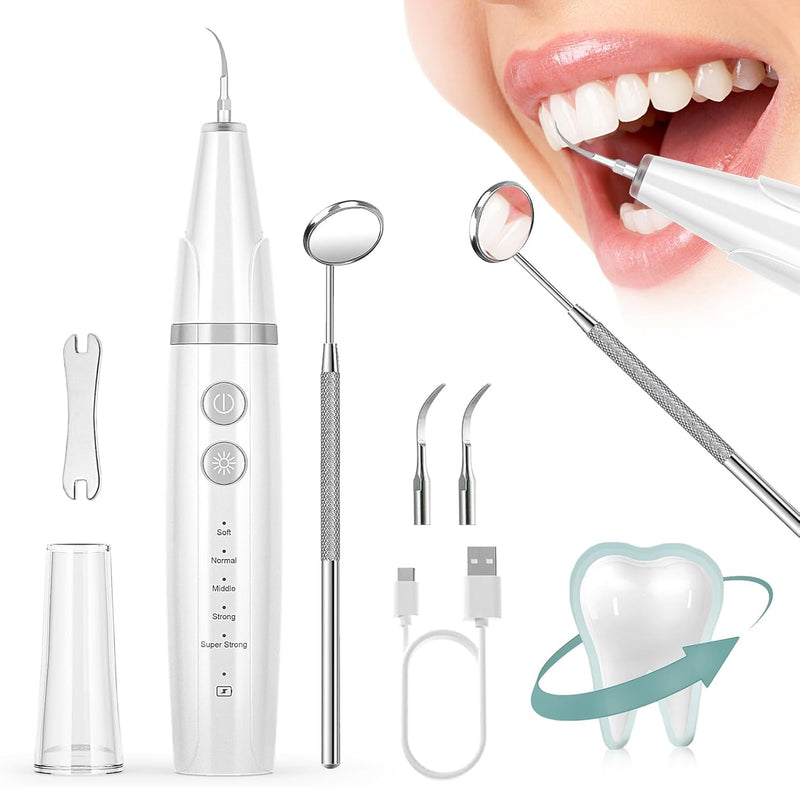 Plaque Remover for Teeth, 4-Mode Electric Tartar Remover with LED Light, Rechargeable Teeth Cleaning Kit, Dental Tools Set with 3 Replaceable Heads