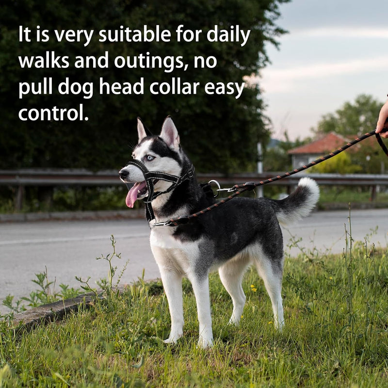 GoodBoy Dog Head Halter with Safety Strap - Stops Heavy Pulling On The Leash - Padded Headcollar for Small Medium and Large Dog Sizes - Head Collar Training Guide Included 3 Blue - PawsPlanet Australia