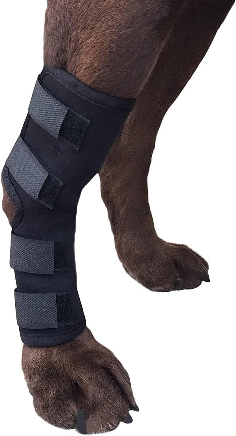 Rear Dog Leg Brace One Pair Heals Hock Joint Wrap Sleeve for Hind Legs(L/Long) L Black