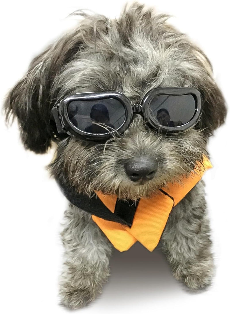 PETLESO Dog Goggles Small Breed, Dog Sunglasses Small Breed Goggles for Small Dogs Riding Driving Black