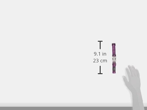 Red Dingo Bucklebone Dog Collar Design, Daisy Chain Purple, Medium 20mm M (Pack of 1)