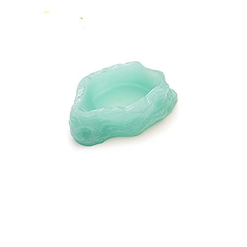 RunXF Luminous Reptile Water Dish Glow in Dark Food Bowl with Ramp Leopard Gecko Bearded Dragon Amphibians Accessories for Reptile Tank Terrarium Feeding Medium - PawsPlanet Australia