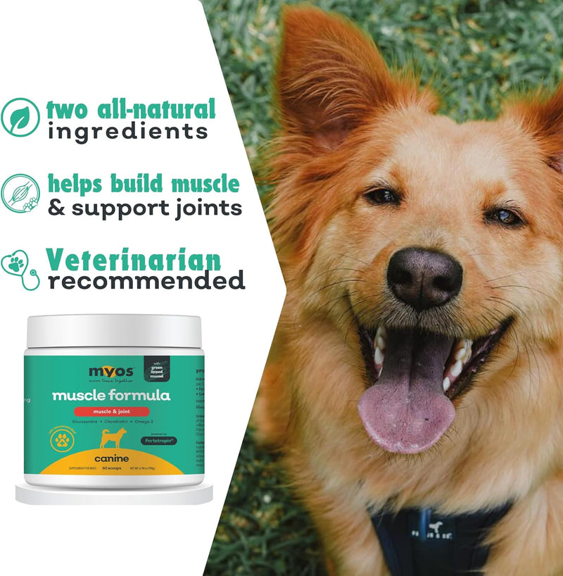 MYOS Muscle & Joint – All Natural Canine Joint Health Supplement Powered by Fortetropin with Green Lipped Mussel – Reduce Muscle Loss, Boost Joint Mobility & Improve Recovery and Reduce Inflammation