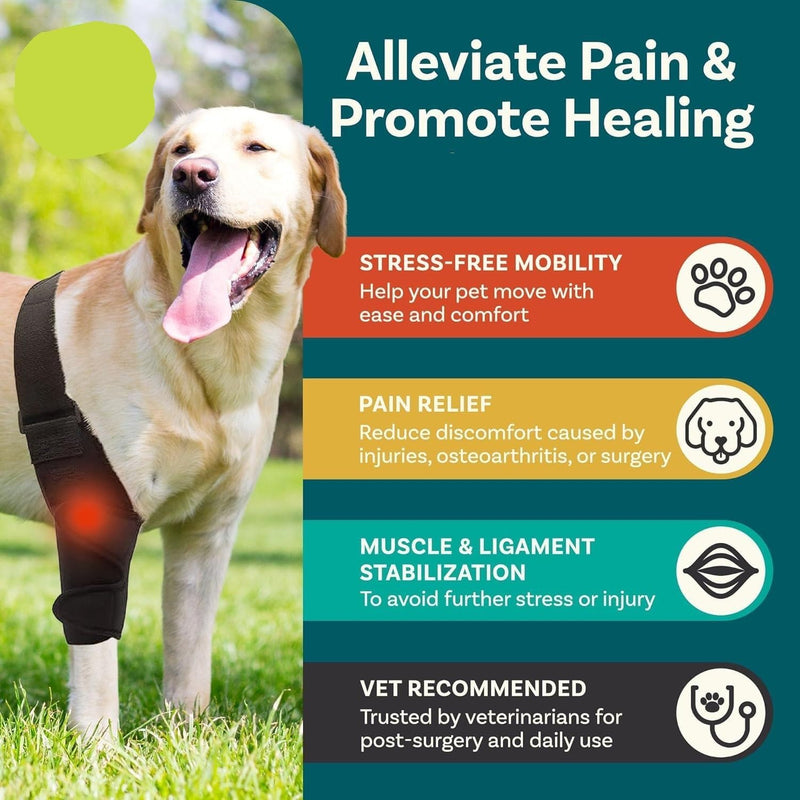 Pezluxe Dog Knee Braces for Back Leg, Adjustable Torn ACL Brace for Dogs, Breathable Dog Hip Brace with Stabilizers for Arthritis, Joint Stability, Luxating Patella & Post-Surgery Recovery (S) S