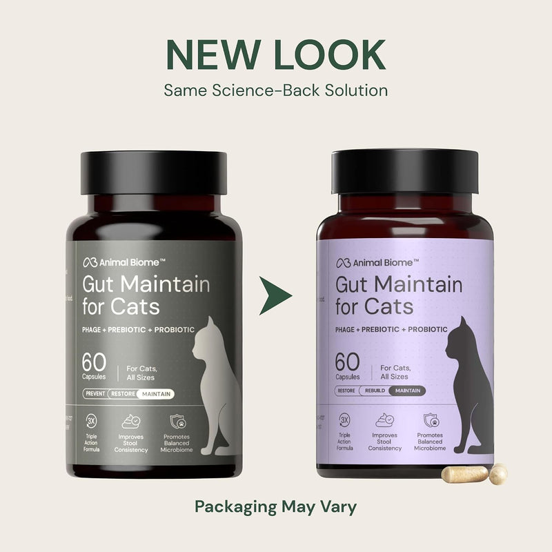KittyBiome GMP Gut Maintenance Plus Diarrhea Relief for Cats - Triple Action Formula Designed to Reduce Diarrhea Caused by Antibiotics, C. Difficile, or E. Coli