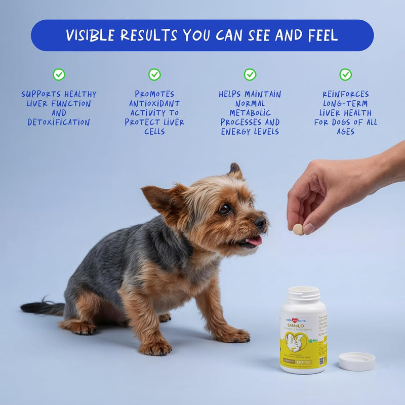 SAMe for Dogs - S-Adenosyl-L-Methionine, Liver Supplements for Dogs - Brain Supplement for Dogs, Promotes Cognitive Support, Liver Support Supplement Tablets - PawsPlanet Australia