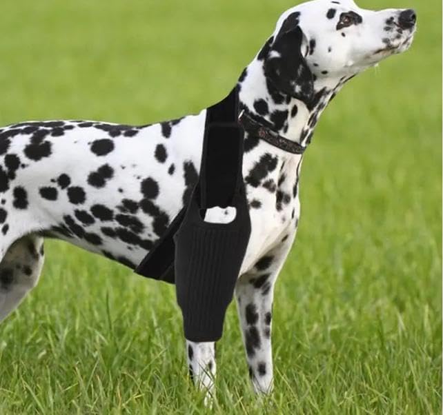 Dog Knee Brace, Dog Leg Brace for ACL Support with Cruciate Ligament Injury, Knee Cap Dislocation, Joint Pain and Muscle Sore, Adjustable Dog ACL Brace with 10 Side Stabilizers, Pet Brace (L) L