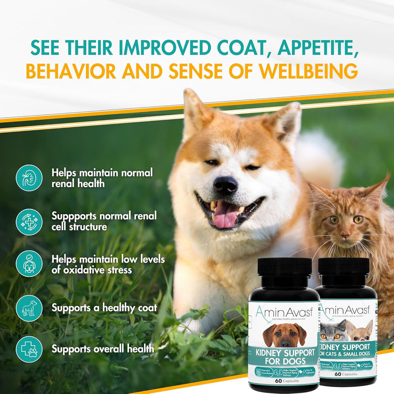 AminAvast Kidney Support Supplement for Cats and Dogs, 300mg - Promotes Natural Kidney Function - Aids in Health and Vitality of Aging Kidneys - Easily Administered - 60 Sprinkle Capsules - PawsPlanet Australia
