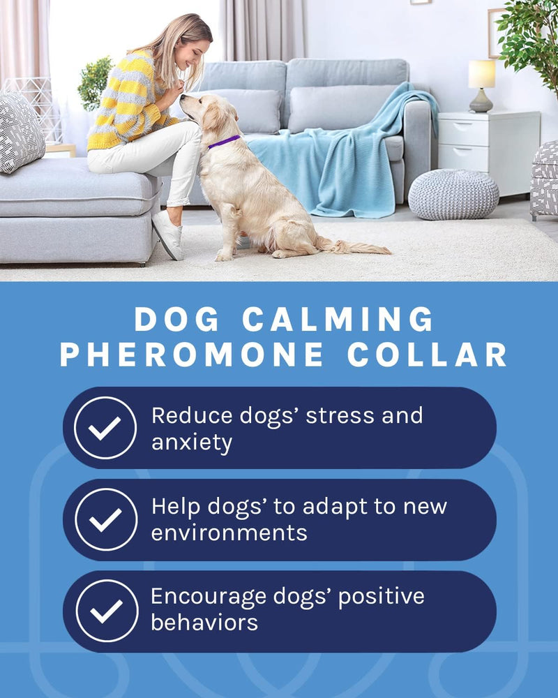 4 Pack Calming Collar for Dogs, Dog Anxiety Relief, All New Pheromone Dog Calming Collars, Anti-Loose Dog Collar, Dog Calm Collar, Separation Anxiety Relief for Dogs, Reduce Dog's Anxiety and Stress - PawsPlanet Australia