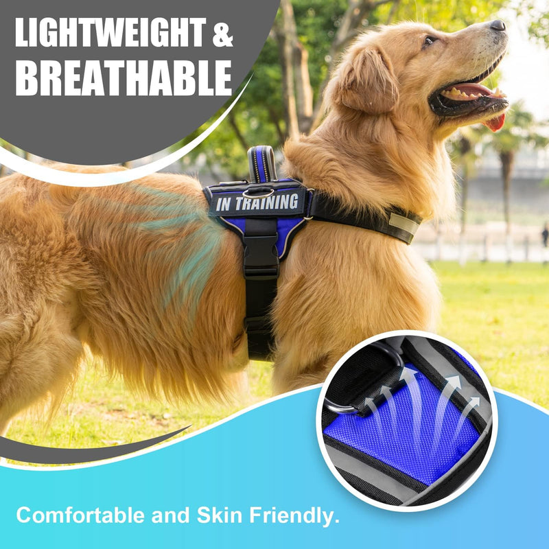 NOYAL in Training Dog Harness, Soft Breathable Mesh Dog Vest Harness - Adjustable 3M Reflective Outdoor Pet Vest with 2 Removable Patches for Small Medium and Large Dogs Blue - PawsPlanet Australia