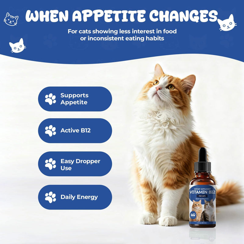 Vitamin B12 for Cats | Methylcobalamin Supplement | Boosts Red Blood Cell Formation, Energy, Nervous System & Appetite, Treats Pancreatitis | 2 fl oz Dropper