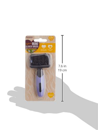 Options Mini Gentle Slicker - PawsPlanet Australia