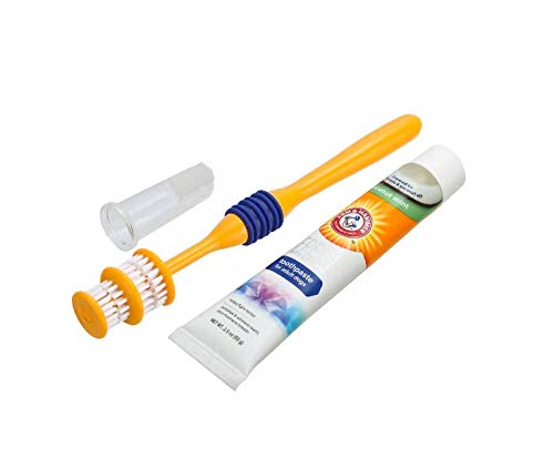 ARM & HAMMER Coconut Dental Care Kit for Dogs - Includes 360° Toothbrush, Coconut Mint Toothpaste & Finger Brush. Tartar Remover, Freshens Breath, Gums and Teeth Cleaning