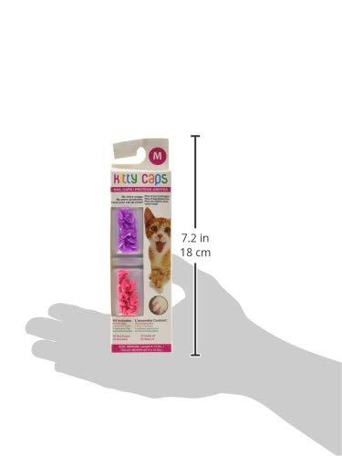 Kitty Caps Nail Caps for Cats Safe, Stylish & Humane Alternative to Declawing Covers Cat Claws, Stops Snags and Scratches, Medium (9-13 lbs), Hot Purple & Hot Pink (Pack of 1) 1-Pack Medium (9-13 lbs) - PawsPlanet Australia