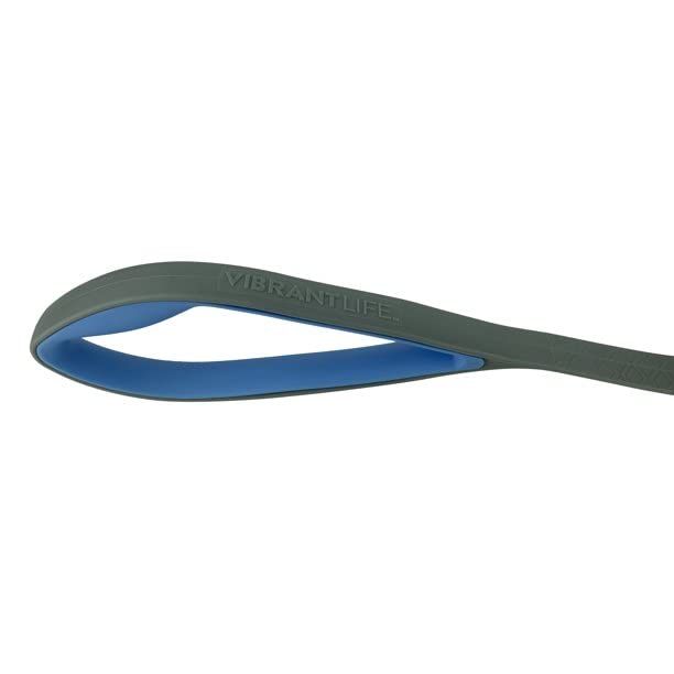 Vibrant Life 4-Foot Dog Leash, Teal and Gray - PawsPlanet Australia