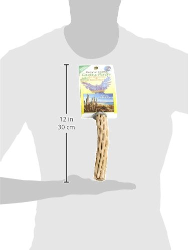 Polly's Cholla Cactus Bird Perch, Small - PawsPlanet Australia
