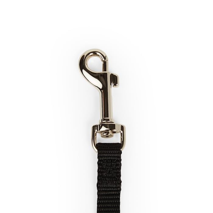 Youly Nylon Dog Leash Black 6-ft Long 1/2-in Wide 6 FT - PawsPlanet Australia