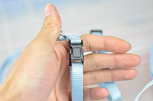 Adjustable Small Pet Hedgehog Harness for Training Playing Traction Rope (Blue) Blue - PawsPlanet Australia