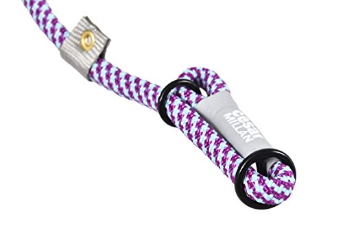 Cesar Millan Slip Lead Leash™ - 2-in-1 Slip Collar Dog Training Lead & Collar | Heavy Duty Durable Weatherproof Rope Leash, No Pull Training | Length 4ft Diameter 4/10”(Regular, Aqua/Purple) Regular - PawsPlanet Australia