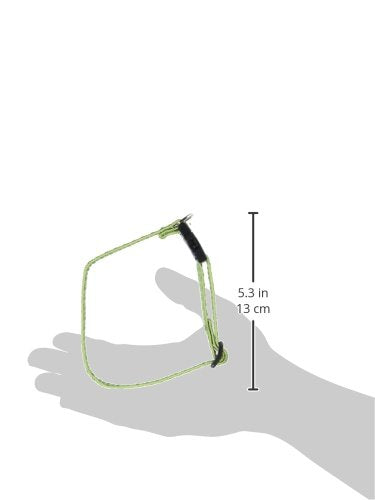 Eco by Lupine 1/2-Inch Recycled Fiber Collar, Adjustable for 10 to 16-Inch Small Dogs, Moss - PawsPlanet Australia
