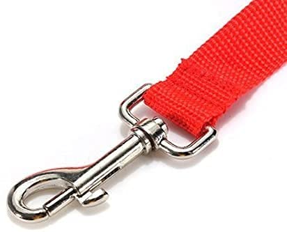 Pet Dog Training Leash Strong Durable Nylon Lead 5 Feet Long Dog Pet Puppy Training Obedience Lead Leash 3Pack Set - PawsPlanet Australia