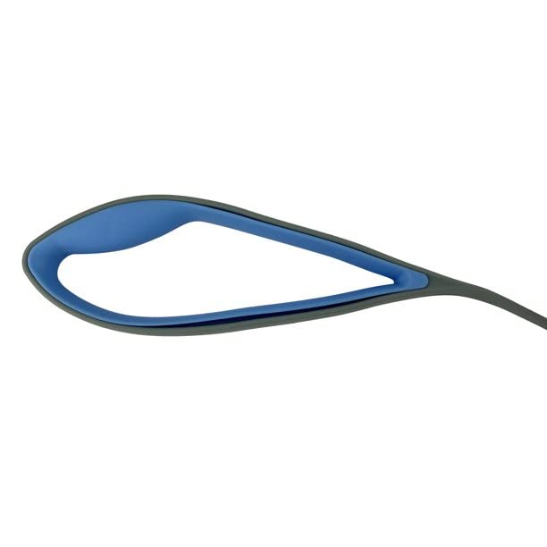 Vibrant Life 4-Foot Dog Leash, Teal and Gray - PawsPlanet Australia